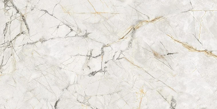 Axor Gold 24x48 Polished Porcelain Tile - Image 5