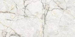 Axor Gold 24x48 Polished Porcelain Tile