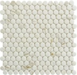 Carolina Dots Gilded Vogue White Penny Round Recycled Matte Glass Tile