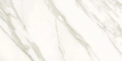 Condal Gold 24x48 Polished Porcelain Tile
