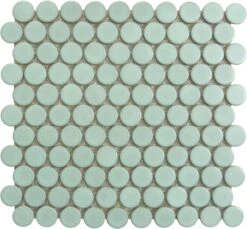 Aqua Penny Round Matte Porcelain Tile